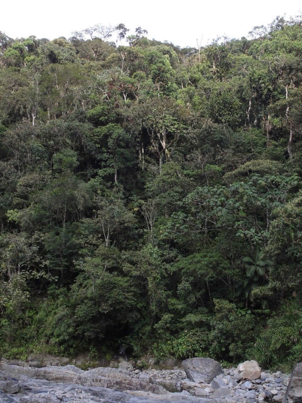 Anden in Peru